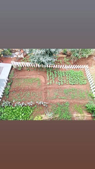 Saifarms Private Farmhouse Between Pune & Lonavala Nethersole Dam Екстериор снимка