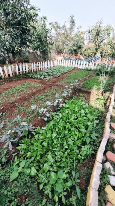 Saifarms Private Farmhouse Between Pune & Lonavala Nethersole Dam Екстериор снимка