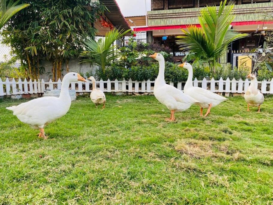 Saifarms Private Farmhouse Between Pune & Lonavala Nethersole Dam Екстериор снимка
