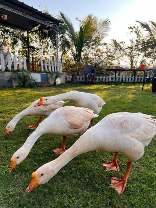 Saifarms Private Farmhouse Between Pune & Lonavala Nethersole Dam Екстериор снимка