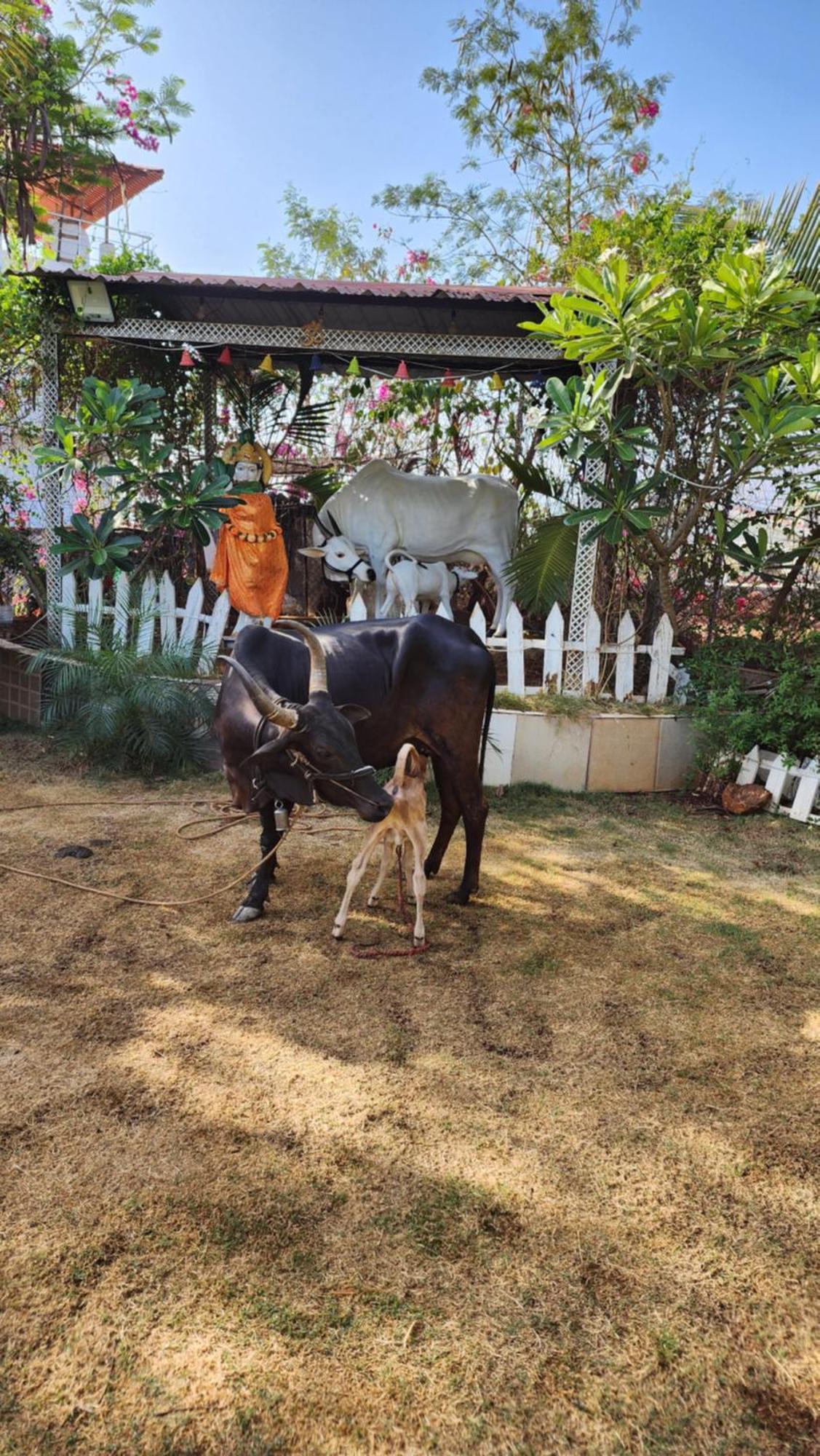 Saifarms Private Farmhouse Between Pune & Lonavala Nethersole Dam Екстериор снимка